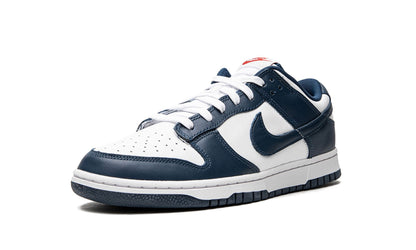 Nike Dunk Low Valerian Blue