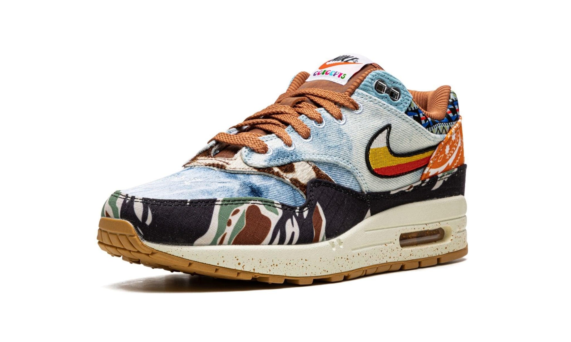 Nike Air Max 1 SP Concepts Heavy